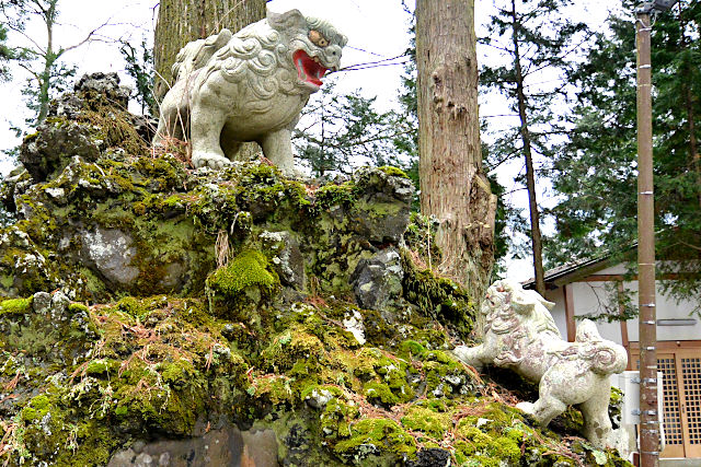 獅子は我が子を千尋の谷に落とす