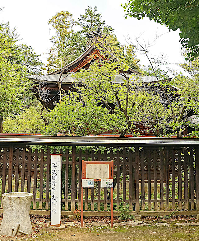 甲斐國一宮浅間神社の夫婦ウメ