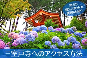 三室戸寺へのアクセス方法と駐車場ガイド｜観光スポット・グルメ情報も紹介