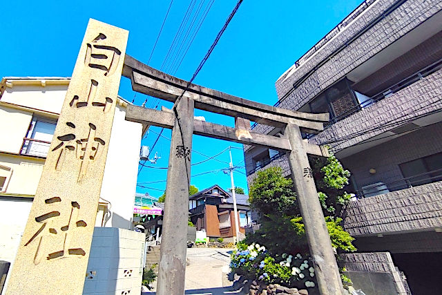 東京 白山神社