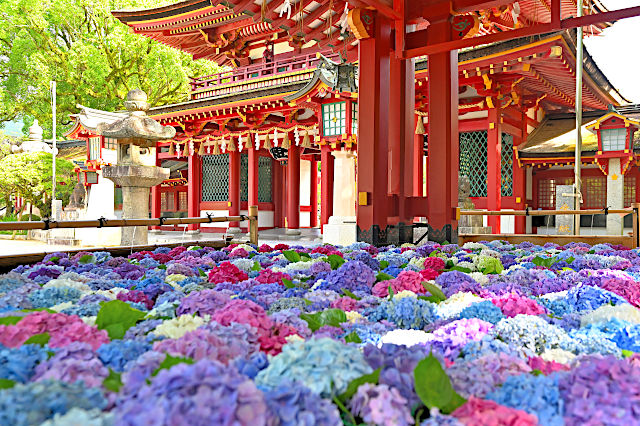 ［福岡］太宰府天満宮