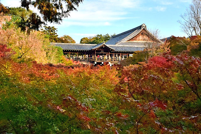東福寺の紅葉