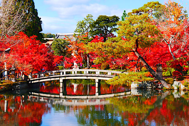 永観堂の紅葉