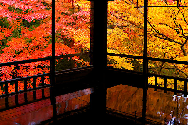 瑠璃光院の紅葉
