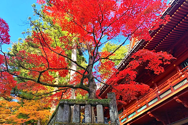 日光の紅葉 