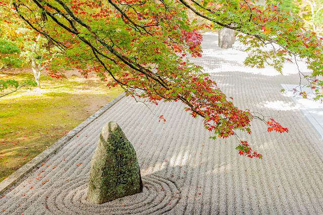 高野山 金剛峯寺の紅葉
