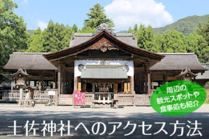 土佐神社へのアクセス方法と駐車場ガイド|観光スポット・グルメ情報も紹介
