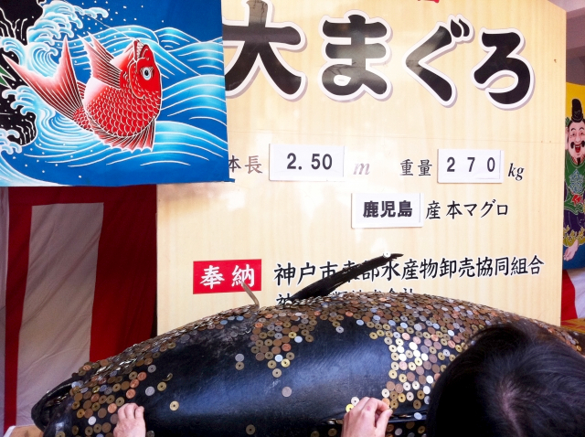招福大まぐろ奉納